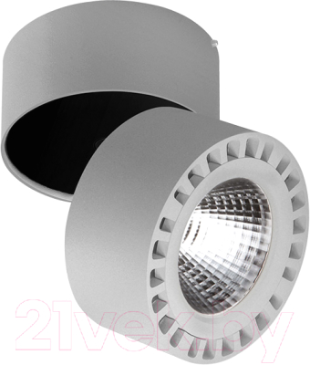 

Спот Lightstar, Forte 381393