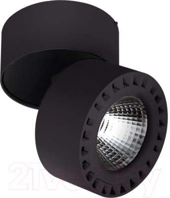 

Спот Lightstar, Forte 381374