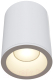 Потолочный светильник Maytoni Antares C029CL-01W - 