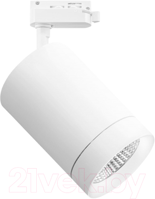 Трековый светильник Lightstar Canno 303262