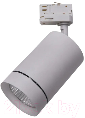 

Трековый светильник Lightstar, Canno 303594