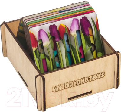 

Развивающая игра WoodLand Toys, Линейки-трафареты. Праздник / 120209