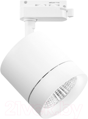 Трековый светильник Lightstar Canno 301264