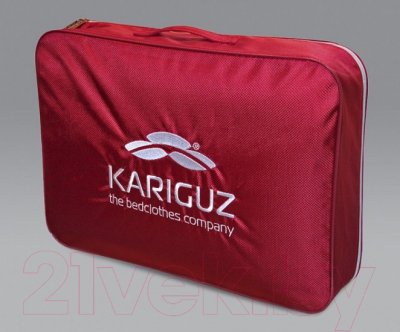 Подушка для сна Kariguz Чистый пух / ЧП10-5 (68x68)