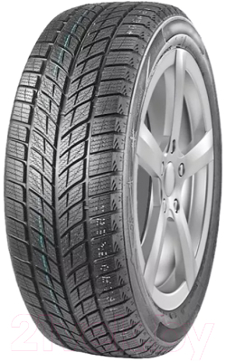 Изображение товара Зимняя шина DoubleStar DW09 245/45R18 96T