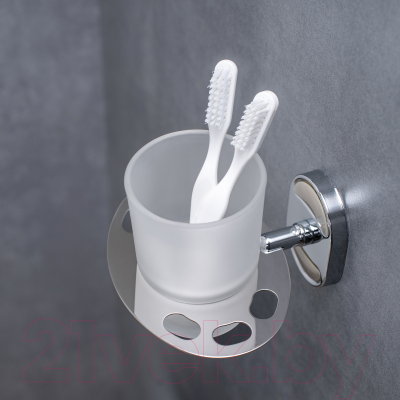 Держатель для зубной пасты и щетки РМС A6020-1
