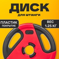 Диск для штанги Sundays Fitness IR91041 (1.25кг) - 