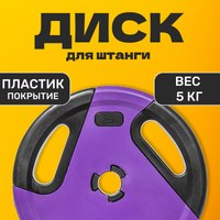 Диск для штанги Sundays Fitness IR91041 (5кг) - 