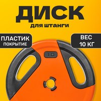 Диск для штанги Sundays Fitness IR91041 (10кг) - 