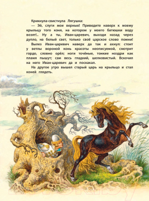 Книга Эксмо Русские волшебные сказки