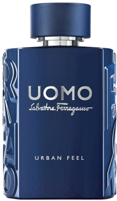 Туалетная вода Salvatore Ferragamo Uomo Urban Feel (100мл)
