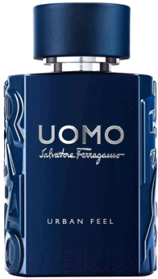 Туалетная вода Salvatore Ferragamo Uomo Urban Feel (50мл)