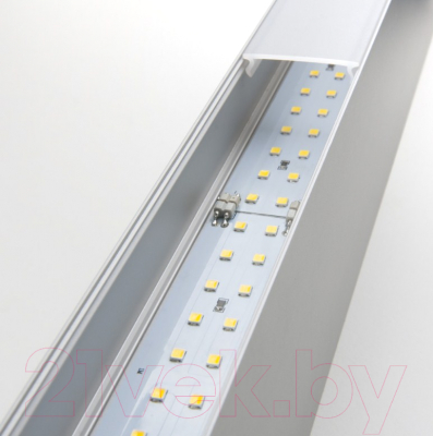 Подсветка для картин и зеркал Elektrostandard 100-100-40-128 50W 4200K (матовое серебро)