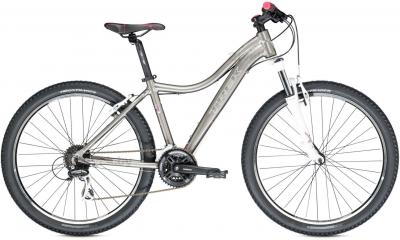 Велосипед Trek Skye SL (19.5, Silver, 2014) - общий вид