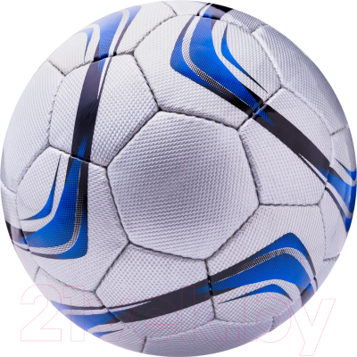 Футбольный мяч Mikasa Tempus-2 (размер 5)