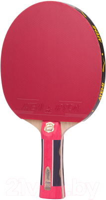 Ракетка для настольного тенниса Atemi A2000