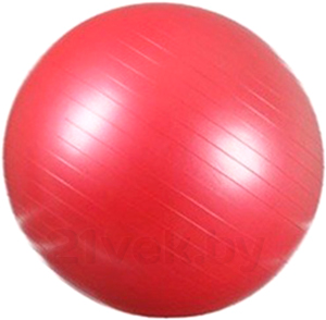 Фитбол гладкий Arctix 339-11650 (красный) - общий вид