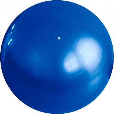 Фитбол гладкий Arctix 339-11900 (синий) - общий вид