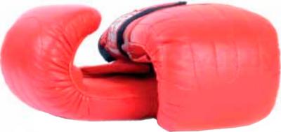 Боксерские перчатки Bulls PM-272-SEN - общий вид