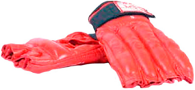 Боксерские перчатки Bulls PM-284-L - общий вид