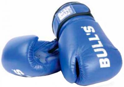 Боксерские перчатки Bulls ТТ-209-6 - общий вид