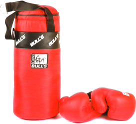 Набор для бокса детский Bulls BS-14002 - общий вид