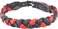 Ошейник ZOOleszcz Plaited 745 (black/red)