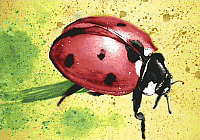 

Набор алмазной вышивки Wizardi, Символ счастья / WD059