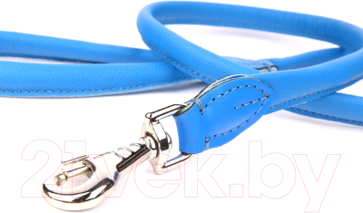Изображение товара Поводок ZOOleszcz Round 981 (blue)