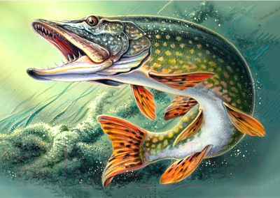 

Набор алмазной вышивки Wizardi, Щука / WD225