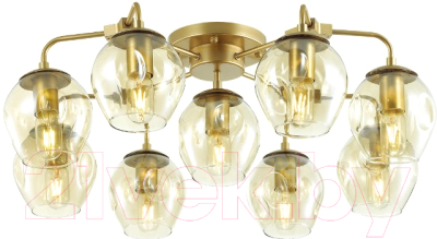 

Люстра Odeon Light, Kuva 4660/9