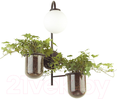 

Бра Odeon Light, Flower 4681/1W