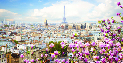 Фотообои листовые Vimala Крыши Парижа (130x250)