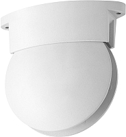 

Потолочный светильник Odeon Light, Arrow 3916/9CL