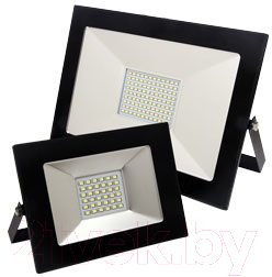 

Прожектор Mobilux, Evostar EV-LED-SMD 50W 6400K