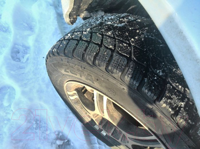 Зимняя шина Zeta Antarctica 5 185/65R15 88T