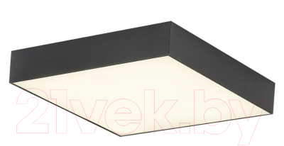 

Потолочный светильник Citilux, Тао CL712X242N