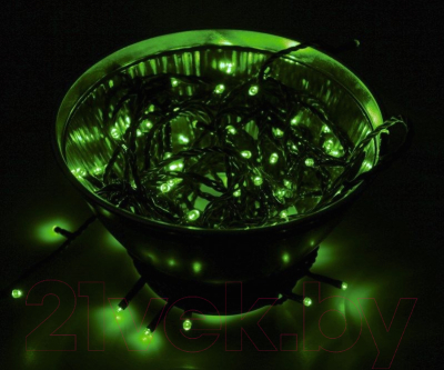 Светодиодная гирлянда Neon-Night Твинкл Лайт 303-137 (10м, зеленый)
