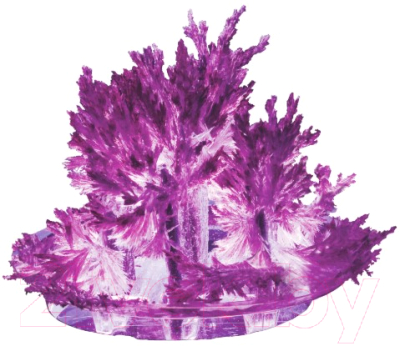 Набор для выращивания кристаллов Lori Лучистые кристаллы / Лк-007 (фиолетовый)