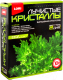 Набор для выращивания кристаллов Lori Зеленый кристалл / Лк-003 - 