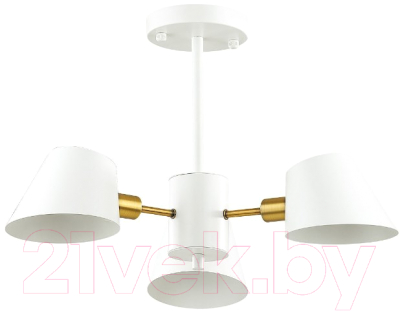 

Люстра Lumion, Kenia 4465/3C