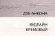 Миниатюра изображения товара Шкаф-пенал Anrex Открытый Olivia 1D (вудлайн кремовый/дуб аскона)