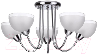 

Люстра Lumion, Alora 4461/5C