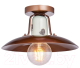 Потолочный светильник Lussole Loft Vermilion LSP-8162 - 