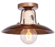 Потолочный светильник Lussole Loft Vermilion LSP-8161 - 