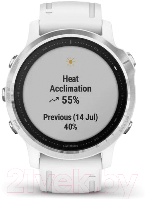 Умные часы Garmin Fenix 6S / 010-02159-00 (серебристый/белый)