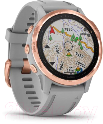Умные часы Garmin Fenix 6S Sapphire / 010-02159-21 (золото/серый)