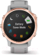 Миниатюра изображения товара Умные часы Garmin Fenix 6S Sapphire / 010-02159-21 (золото/серый)