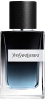 Парфюмерная вода Yves Saint Laurent Y for Man (100мл) - 