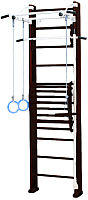 Детский спортивный комплекс Карусель 2Д.03.03 к стене + тренажер для осанки №2 (венге) - 